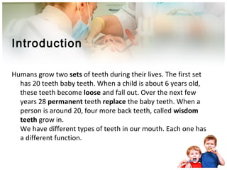 Introduction
Humans grow two sets of teeth during their lives. The first set
has 20 teeth baby teeth. When a child is about 6 years old,
these teeth become loose and fall out. Over the next few
years 28 permanent teeth replace the baby teeth. When a
person is around 20, four more back teeth, called wisdom
teeth grow in.
We have different types of teeth in our mouth. Each one has
a different function.
 