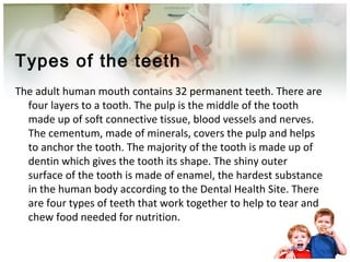 Types of the teeth
The adult human mouth contains 32 permanent teeth. There are
four layers to a tooth. The pulp is the middle of the tooth
made up of soft connective tissue, blood vessels and nerves.
The cementum, made of minerals, covers the pulp and helps
to anchor the tooth. The majority of the tooth is made up of
dentin which gives the tooth its shape. The shiny outer
surface of the tooth is made of enamel, the hardest substance
in the human body according to the Dental Health Site. There
are four types of teeth that work together to help to tear and
chew food needed for nutrition.
 