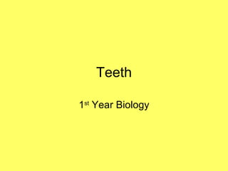 Teeth
1st
Year Biology
 