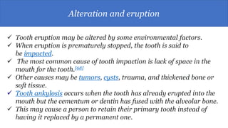 Alteration and eruption
 Tooth eruption may be altered by some environmental factors.
 When eruption is prematurely stopped, the tooth is said to
be impacted.
 The most common cause of tooth impaction is lack of space in the
mouth for the tooth.[68]
 Other causes may be tumors, cysts, trauma, and thickened bone or
soft tissue.
 Tooth ankylosis occurs when the tooth has already erupted into the
mouth but the cementum or dentin has fused with the alveolar bone.
 This may cause a person to retain their primary tooth instead of
having it replaced by a permanent one.
 