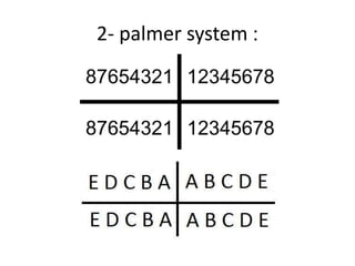 :
2- palmer system
 