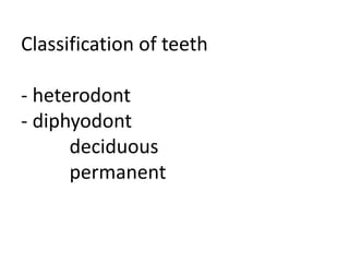 Classification of teeth
- heterodont
- diphyodont
deciduous
permanent
 