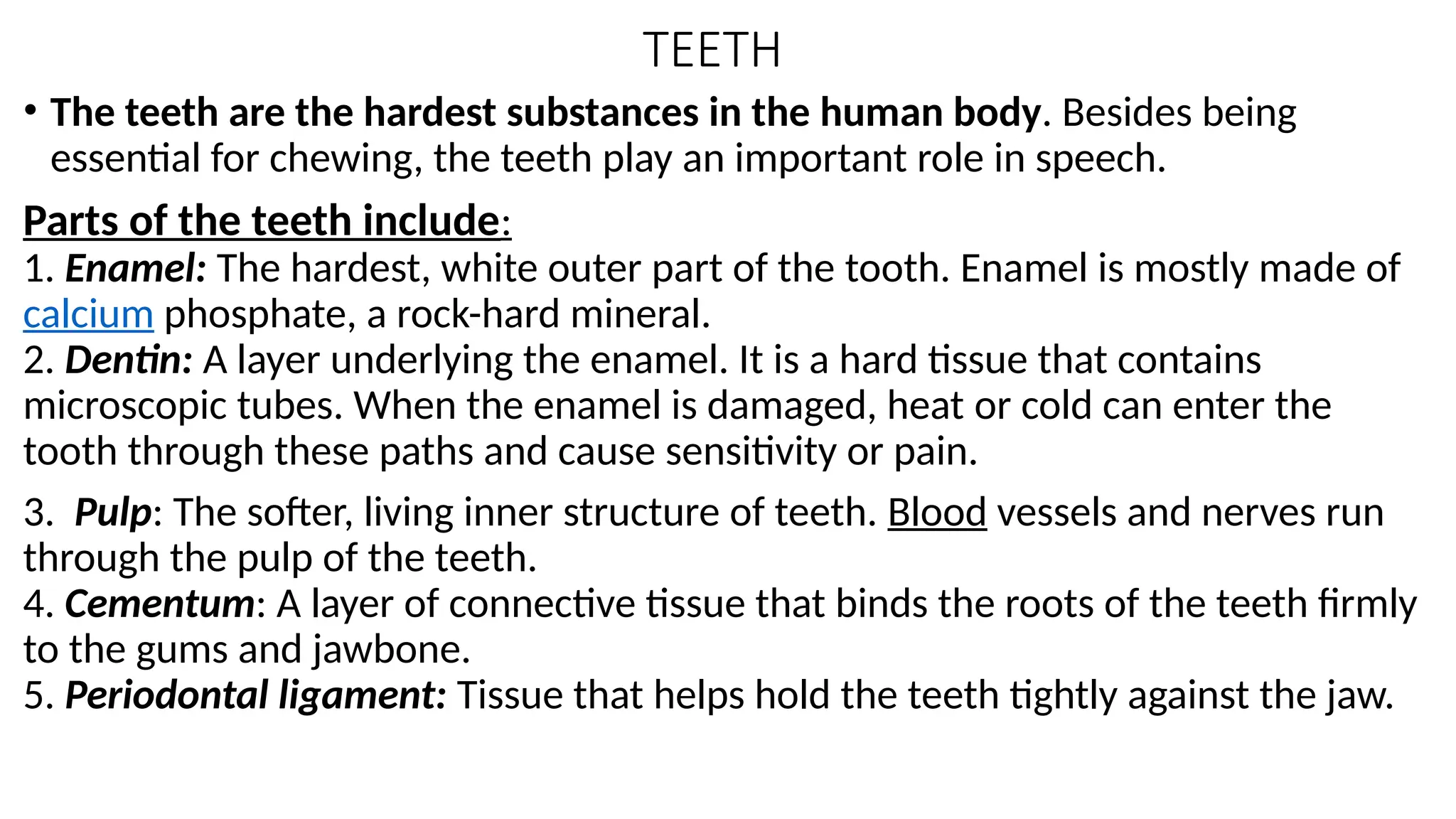 teeth description and type and names how to care | PPTX