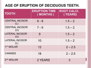 Odontology: Teeth Forensic Lecture Presentation | PPTX