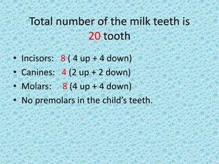 Total number of the milk teeth is
20 tooth
• Incisors: 8 ( 4 up + 4 down)
• Canines: 4 (2 up + 2 down)
• Molars: 8 (4 up + 4 down)
• No premolars in the child’s teeth.
 