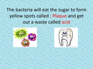 The bacteria will eat the sugar to form
yellow spots called : Plaque and get
out a waste called acid
 