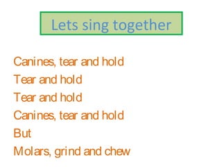 Canines, tear and hold
Tear and hold
Tear and hold
Canines, tear and hold
But
Molars, grind and chew
Lets sing together