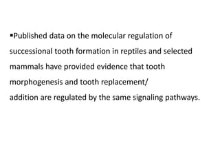 Published data on the molecular regulation of
successional tooth formation in reptiles and selected
mammals have provided evidence that tooth
morphogenesis and tooth replacement/
addition are regulated by the same signaling pathways.
 