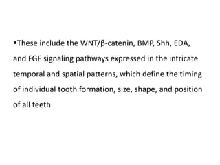These include the WNT/β-catenin, BMP, Shh, EDA,
and FGF signaling pathways expressed in the intricate
temporal and spatial patterns, which define the timing
of individual tooth formation, size, shape, and position
of all teeth
 