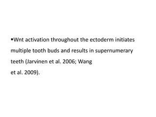 Wnt activation throughout the ectoderm initiates
multiple tooth buds and results in supernumerary
teeth (Jarvinen et al. 2006; Wang
et al. 2009).
 
