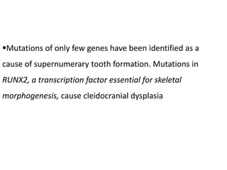 Mutations of only few genes have been identified as a
cause of supernumerary tooth formation. Mutations in
RUNX2, a transcription factor essential for skeletal
morphogenesis, cause cleidocranial dysplasia
 