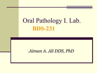 Oral Pathology I. Lab.
BDS-231

.Aiman A. Ali DDS, PhD

 