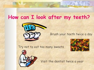 How can I look after my teeth?
Brush your teeth twice a day
Try not to eat too many sweets
Visit the dentist twice a year
 