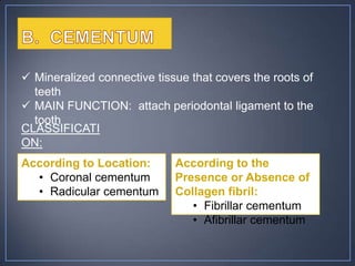 Physiology of Teeth and Its Supporting Structures | PPTX