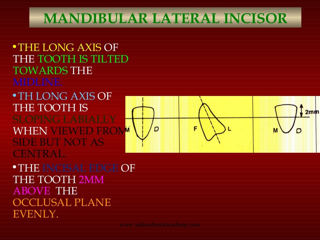 Teeth arrangement/ orthodontics courses online