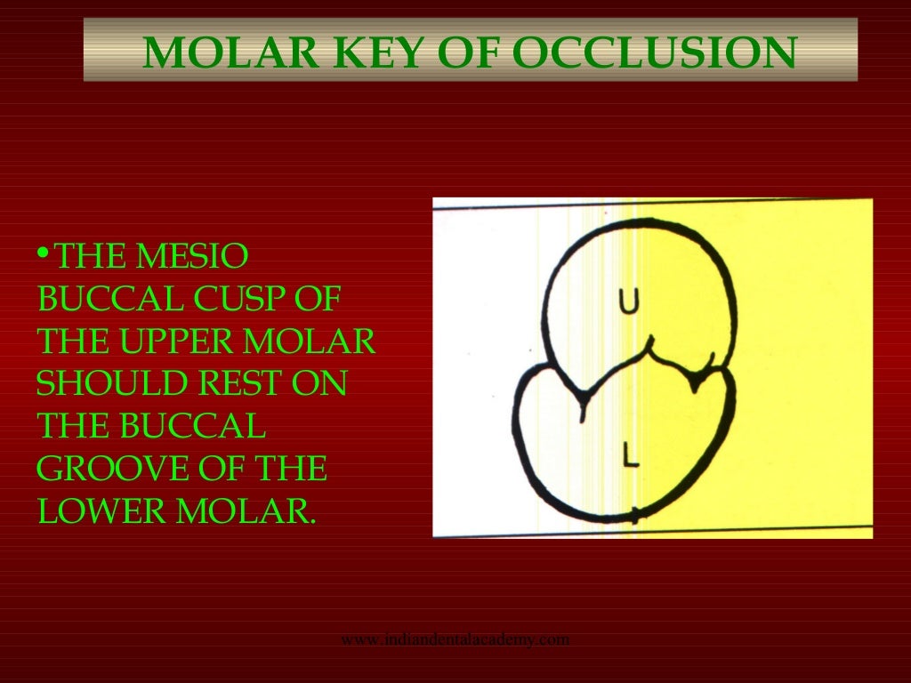 Teeth arrangement/ orthodontics courses online
