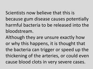 Scientists now believe that this is
because gum disease causes potentially
harmful bacteria to be released into the
bloodstream.
Although they are unsure exactly how
or why this happens, it is thought that
the bacteria can trigger or speed up the
thickening of the arteries, or could even
cause blood clots in very severe cases.
 