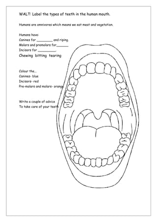 WALT: Label the types of teeth in the human mouth.
Humans are omnivores which means we eat meat and vegetation.
Humans have:
Canines for ________ and riping.
Molars and premolars for______
Incisors for _________.

Chewing bitting tearing

Colour the...
Canines- blue
Incisors- red
Pre-molars and molars- orange

Write a couple of advice
To take care of your teeth

 