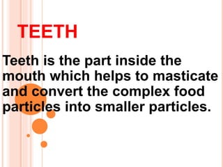 TEETH
Teeth is the part inside the
mouth which helps to masticate
and convert the complex food
particles into smaller particles.
 