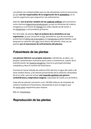 Las plantas son indispensables para la vida del planeta como la conocemos,
ya que son las responsables de la oxigenación de la atmósfera, sin la
cual los organismos que respiramos nos asfixiaríamos.
Además, son el primer eslabón de las cadenas tróficas tanto terrestres
como marinas (organismos productores), ya que se alimentan de materia
inorgánica y una fuente de energía (luz solar), dando así de comer a
los herbívoros o consumidores primarios.
Por otro lado, las plantas fijan el carbono de la atmósfera en sus
organismos, ya que consumen el CO2 atmosférico, que de acumularse
aumentaría el efecto de invernadero y la temperatura global debido a que
bloquean la radiación del calor hacia afuera del planeta. Visto así, las
plantas son el mecanismo de enfriamiento del planeta.
Fotosíntesis de las plantas
Las plantas fabrican sus propios azúcares o almidones, es decir, sus
propios carbohidratos necesarios para crecer y mantenerse, a partir de la
transformación de materia inorgánica. Esta es su principal actividad
metabólica y lleva el nombre de fotosíntesis.
Consiste en tomar dióxido de carbono (CO2) del aire, el agua del suelo o de
otros medios físicos, y los fotones provenientes de la radiación ultravioleta
de la luz solar, para así activar una reacción química que genera
carbohidratos y subproduce oxígeno, expulsado de vuelta a la atmósfera.
Cada año las plantas convierten unos 100.000 millones de toneladas de
carbono mediante la fotosíntesis, devolviendo al aire el oxígeno que
los seres vivos requerimos para respirar.
Más en: Fotosíntesis
Reproducción de las plantas
 