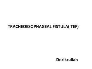TRACHEOESOPHAGEAL FISTULA( TEF)
Dr.zikrullah
 