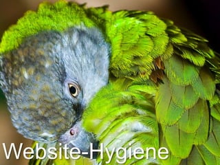Website-Hygiene
 