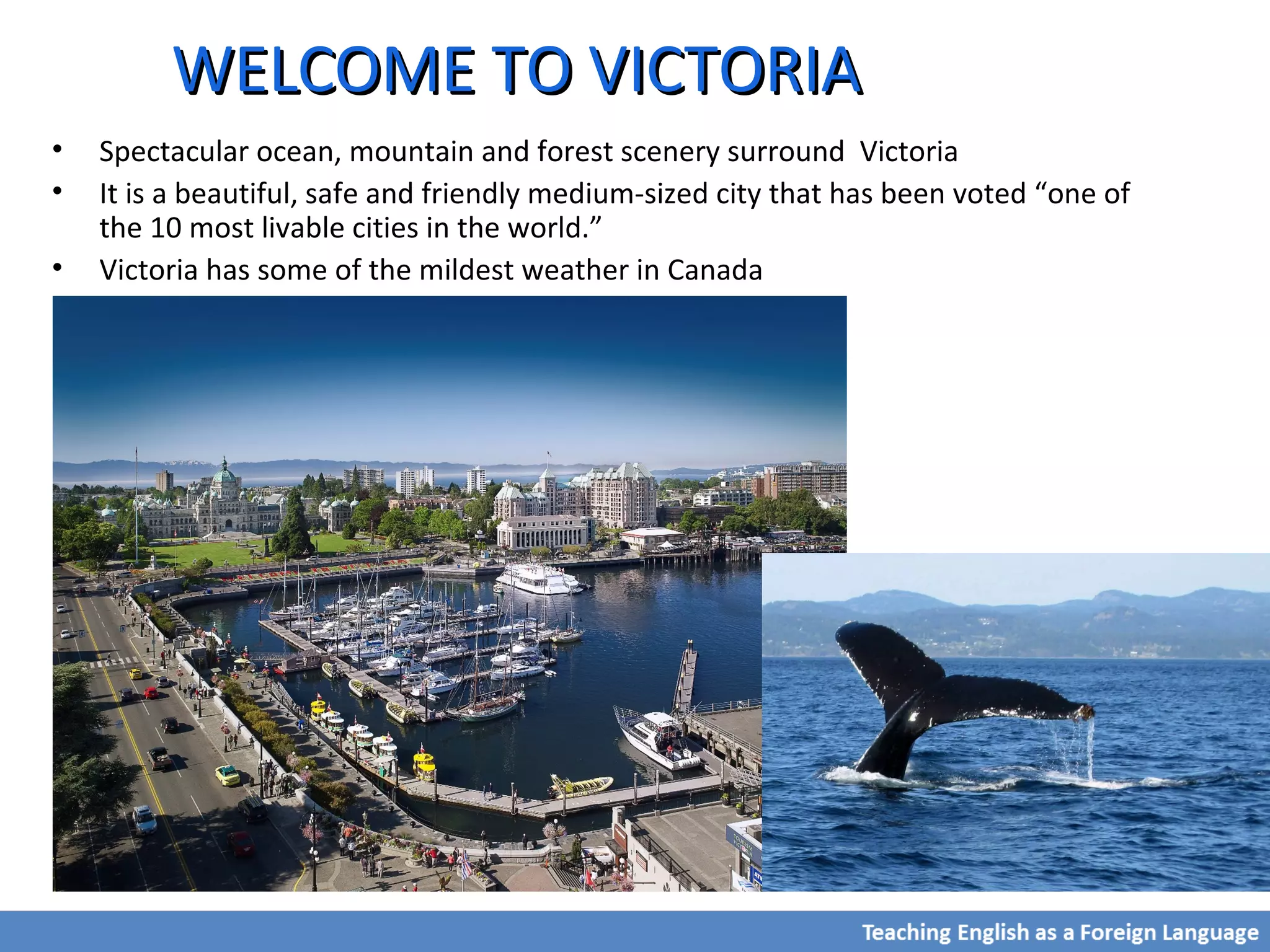 WELCOME TO VICTORIAWELCOME TO VICTORIA
• Spectacular ocean, mountain and forest scenery surround Victoria
• It is a beautiful, safe and friendly medium-sized city that has been voted “one of
the 10 most livable cities in the world.”
• Victoria has some of the mildest weather in Canada
 