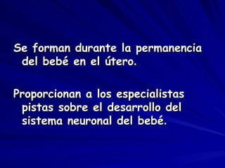 Se forman durante la permanencia
 del bebé en el útero.

Proporcionan a los especialistas
 pistas sobre el desarrollo del
 sistema neuronal del bebé.
 