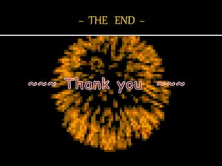 Tefl (english teacher)