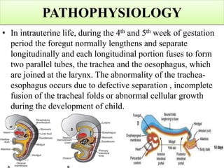 PATHOPHYSIOLOGY
• In intrauterine life, during the 4th and 5th week of gestation
period the foregut normally lengthens and separate
longitudinally and each longitudinal portion fuses to form
two parallel tubes, the trachea and the oesophagus, which
are joined at the larynx. The abnormality of the trachea-
esophagus occurs due to defective separation , incomplete
fusion of the tracheal folds or abnormal cellular growth
during the development of child.
 