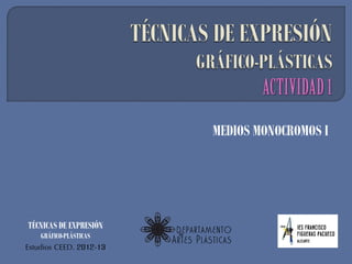 MEDIOS MONOCROMOS I




TÉCNICAS DE EXPRESIÓN
    GRÁFICO-PLÁSTICAS
Estudios CEED. 2012-13
 