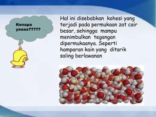 Kenapa 
yaaaa????? 
Hal ini disebabkan kohesi yang 
terjadi pada permukaan zat cair 
besar, sehingga mampu 
menimbulkan tegangan 
dipermukaanya. Seperti 
hamparan kain yang ditarik 
saling berlawanan 
 