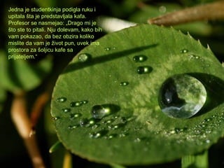 Jedna je studentkinja podigla ruku i upitala šta je predstavljala kafa. Profesor se nasmejao: „Drago mi je što ste to pitali. Nju dolevam, kako bih vam pokazao, da bez obzira koliko mislite da vam je život pun, uvek ima prostora za šolj i cu kafe sa prijateljem.“ 