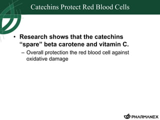 Catechins Protect Red Blood Cells 
• Research shows that the catechins 
“spare” beta carotene and vitamin C. 
– Overall protection the red blood cell against 
oxidative damage 
 