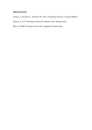 BIBLIOGRAFÍA
Álvarez , I., Dovales, C., & Rosell, W. (2011). Morfología Humana. Ciencias Médicas.
Geneser, F. (s.f.). Histología (tercera ed.). Buenos Aires: Panamericana.
Roos, P. (2008). Histología (octava ed.). Argentina: Panamericana.
 