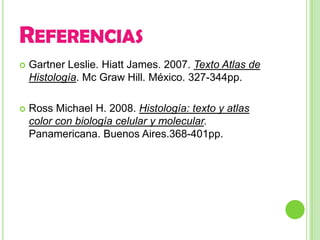 REFERENCIAS
   Gartner Leslie. Hiatt James. 2007. Texto Atlas de
    Histología. Mc Graw Hill. México. 327-344pp.

   Ross Michael H. 2008. Histología: texto y atlas
    color con biología celular y molecular.
    Panamericana. Buenos Aires.368-401pp.
 