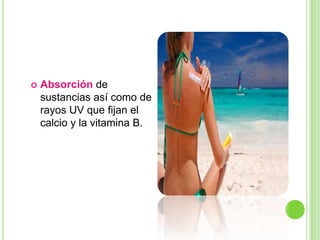    Absorción de
    sustancias así como de
    rayos UV que fijan el
    calcio y la vitamina B.
 