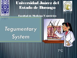 Universidad Juárez del
Estado de Durango
Facultad de Medicina Y nutrición
7°C
 