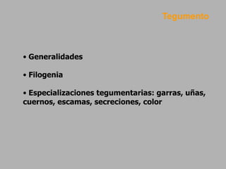 • Generalidades
• Filogenia
• Especializaciones tegumentarias: garras, uñas,
cuernos, escamas, secreciones, color
Tegumento
 