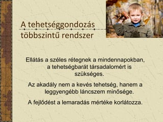 A tehetséggondozás
többszintű rendszer
Ellátás a széles rétegnek a mindennapokban,
a tehetségbarát társadalomért is
szükséges.
Az akadály nem a kevés tehetség, hanem a
leggyengébb láncszem minősége.
A fejlődést a lemaradás mértéke korlátozza.
 
