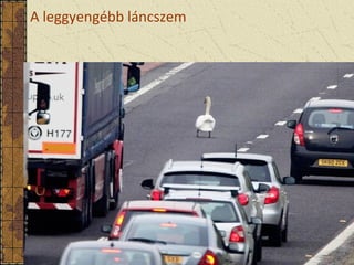 A leggyengébb láncszem
 