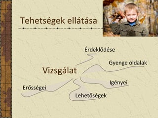 Tehetségek ellátása
Érdeklődése
Igényei
Gyenge oldalak
Lehetőségek
Vizsgálat
Erősségei
 