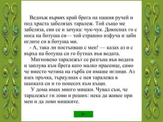 Веднъж вървях край брега на нашия ручей и под храста забелязах таралеж. Той също ме забеляза, сви се и зачука: чук-чук. Докоснах го с носа на ботуша си— той страшно изфуча и заби иглите си в ботуша ми.    - А, така ли постъпваш с мен! — казах аз и с върха на ботуша си го бутнах във водата.    Мигновено таралежът се разгъна във водата и заплува към брега като малко прасенце, само че вместо четина на гърба си имаше иглици. Аз взех пръчка, търкулнах с нея таралежа в шапката си и го понесох към къщи.    У дома имах много мишки. Чувал съм, че таралежът ги лови и реших: нека да живее при мен и да лови мишките. 