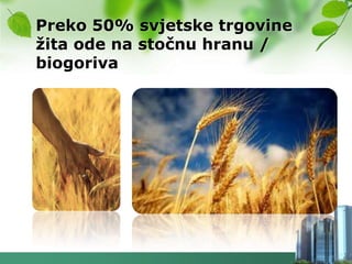 Preko 50% svjetske trgovine
ţita ode na stočnu hranu /
biogoriva
 