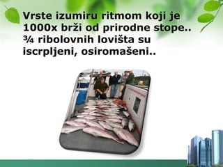 Vrste izumiru ritmom koji je
1000x brţi od prirodne stope..
¾ ribolovnih lovišta su
iscrpljeni, osiromašeni..
 