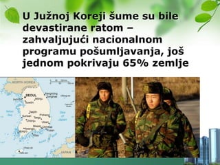 U Juţnoj Koreji šume su bile
devastirane ratom –
zahvaljujući nacionalnom
programu pošumljavanja, još
jednom pokrivaju 65% zemlje
 
