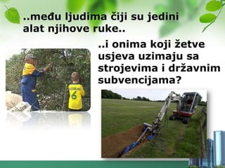 ..meĎu ljudima čiji su jedini
alat njihove ruke..
             ..i onima koji ţetve
             usjeva uzimaju sa
             strojevima i drţavnim
             subvencijama?
 