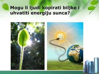 Mogu li ljudi kopirati biljke i
uhvatiti energiju sunca?
 