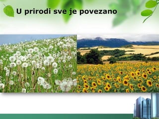 U prirodi sve je povezano
 