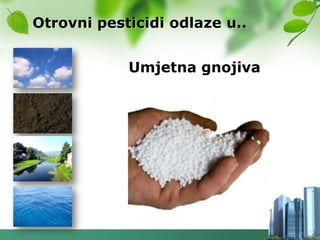Otrovni pesticidi odlaze u..


            Umjetna gnojiva
 